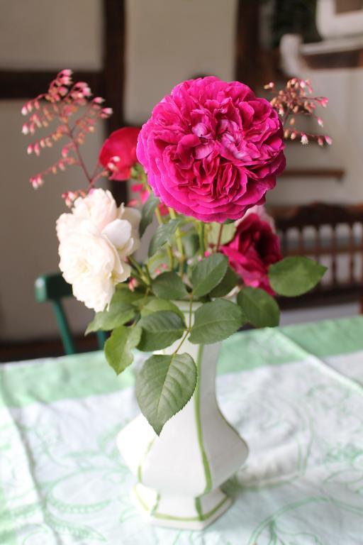 Sankt Julian Maison Mille Fleurs מראה חיצוני תמונה
