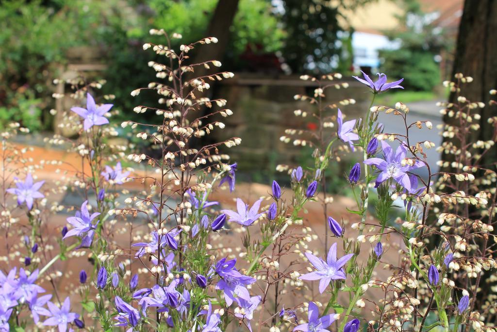 Sankt Julian Maison Mille Fleurs מראה חיצוני תמונה