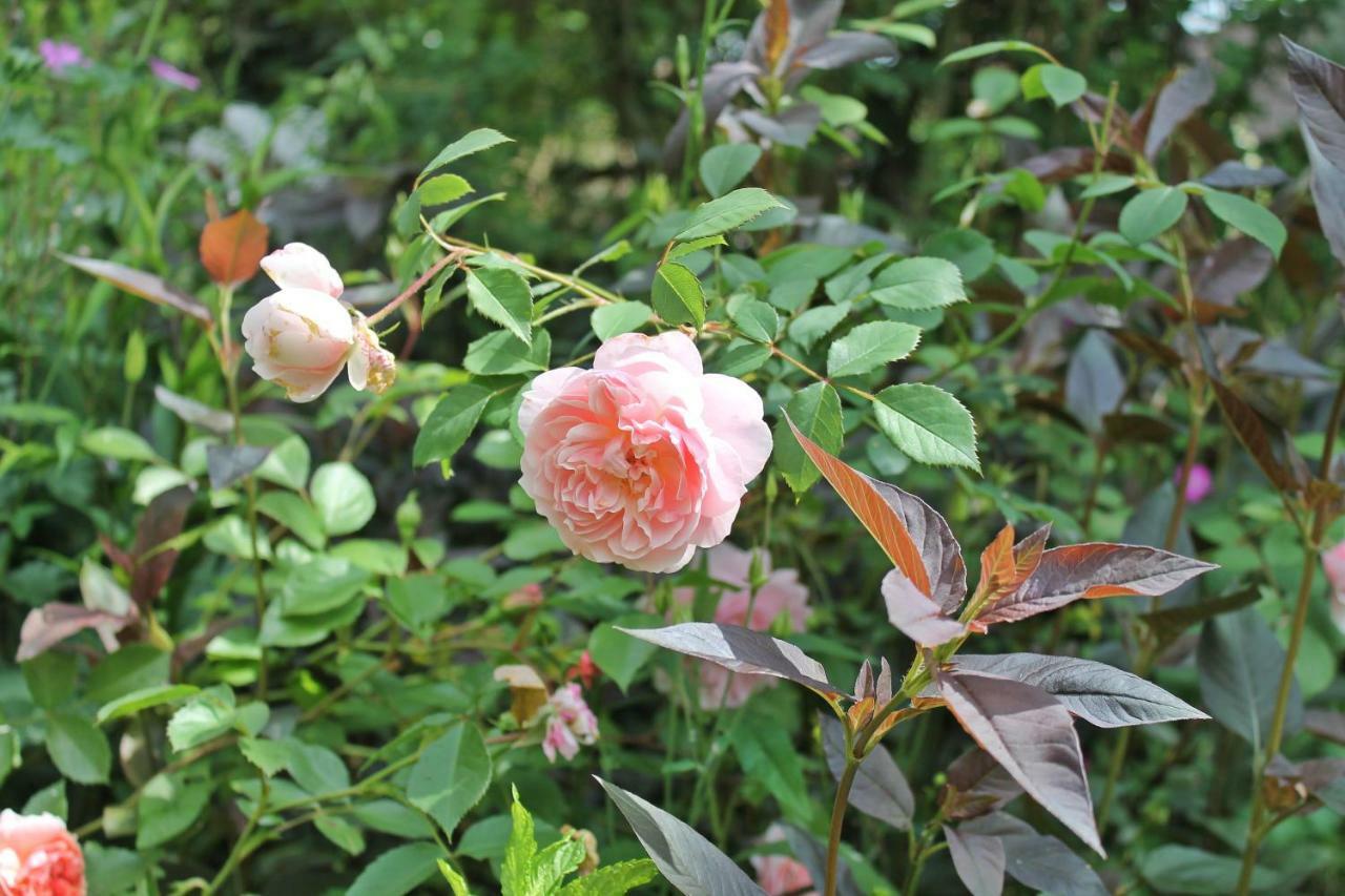 Sankt Julian Maison Mille Fleurs מראה חיצוני תמונה